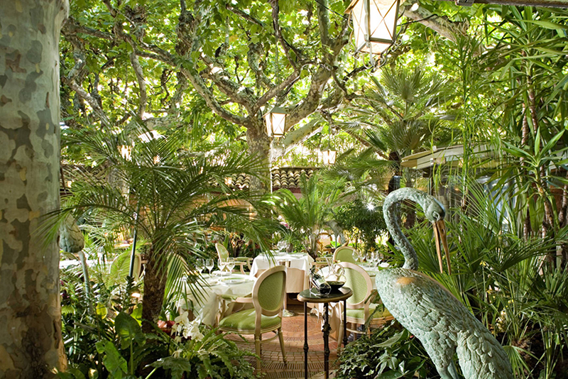 wine business oasis