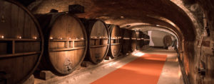 chateau saint martin