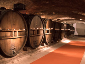 chateau saint martin