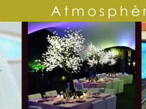 atmosphere sud villeneuve loubet