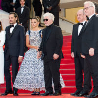 festival de cannes dolor y gloria