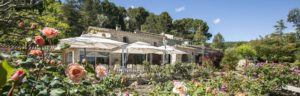 castellaras fayence gastronmie
