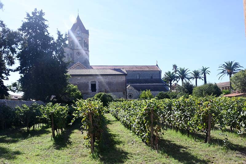 clos charité vignes générosité