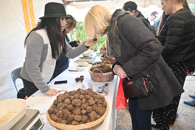 marche truffe grasse gastronomie