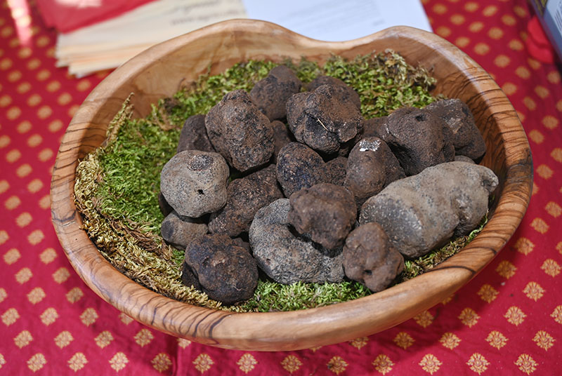 marche truffe grasse gastronomie