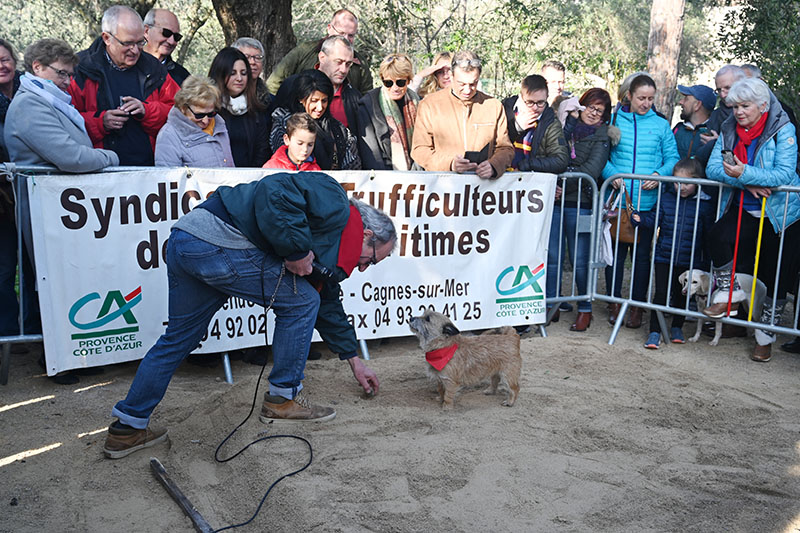 marche truffe grasse gastronomie