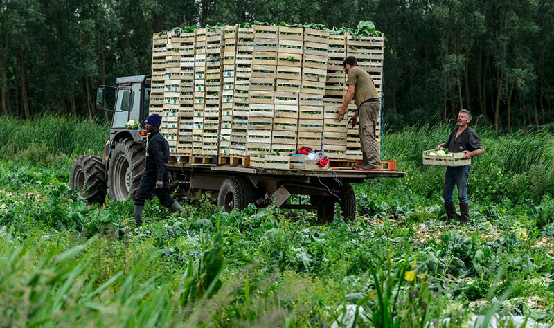 agrigeodirect plateforme solidaire agriculteurs