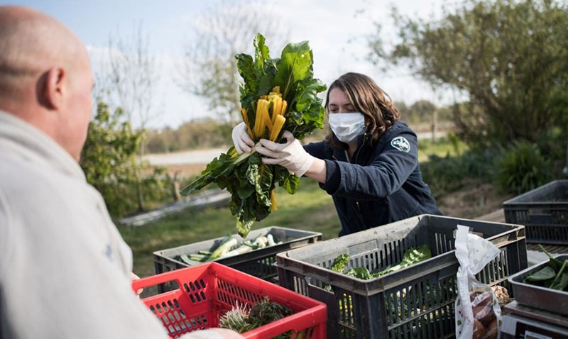 agrigeodirect plateforme solidaire agriculteurs