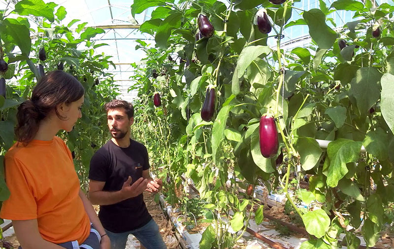 agrigeodirect plateforme solidaire agriculteurs