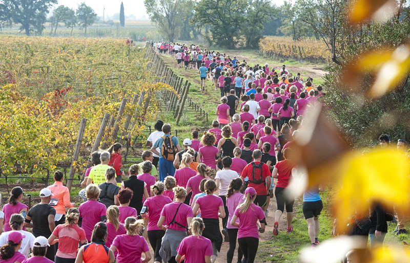 trophees oenotourisme 2020
