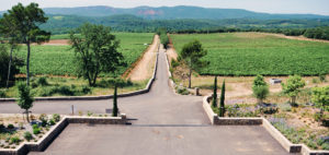 vigna chateau la martinette