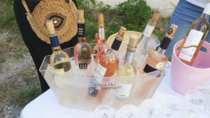 btoev consulting passion oenologie vigne terroir