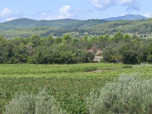 notre dame des anges ailes terroir exception