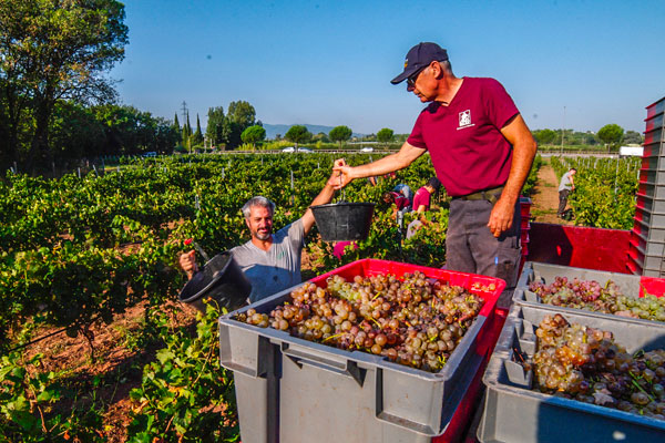 domaine le bercail repas empoter