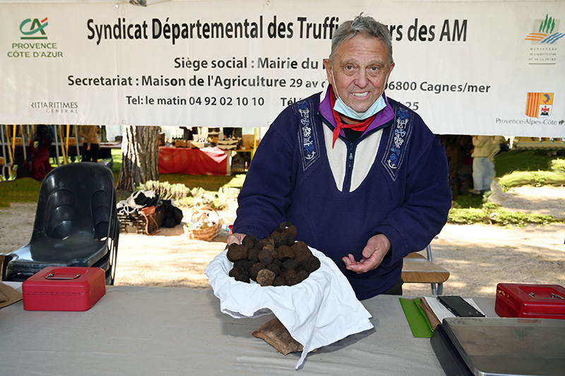 marché truffe ensoleillé bastide saint antoine