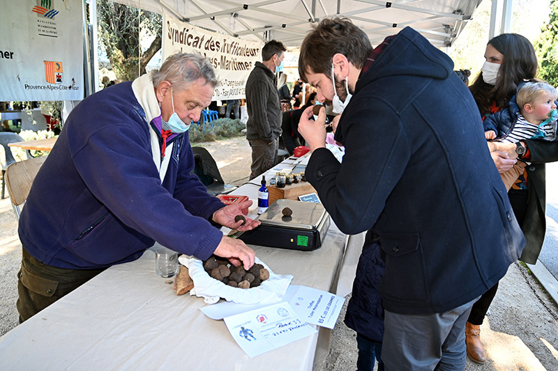 marché truffe ensoleillé bastide saint antoine
