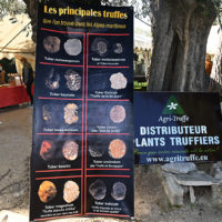 marché truffe ensoleillé bastide saint antoine