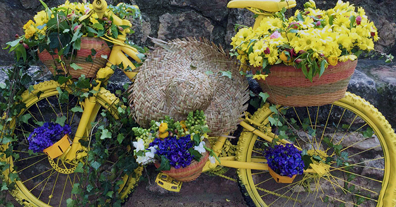 tourrettes sur loup fête violettes