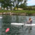 Rowing Club: Ramées de Nature à Mandelieu