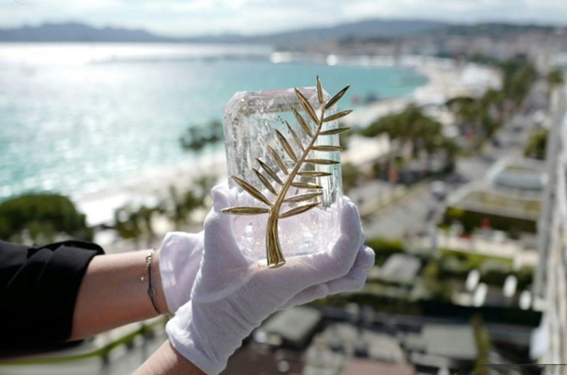 festival cannes films palme or