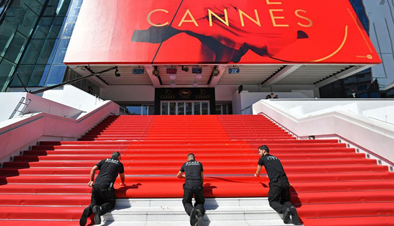 festival cannes films palme or