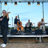 basilic swing domaine féraud