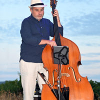 basilic swing domaine féraud