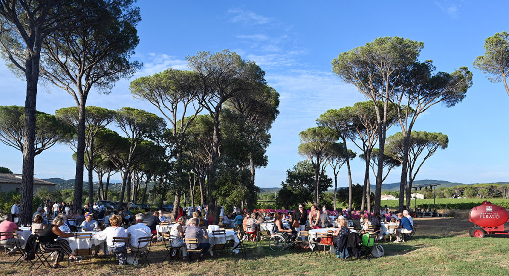 basilic swing domaine féraud