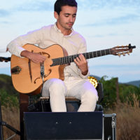 basilic swing domaine féraud