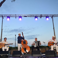 basilic swing domaine féraud