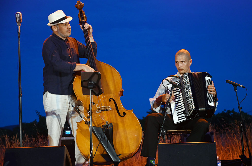 basilic swing domaine féraud
