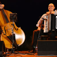 basilic swing domaine féraud