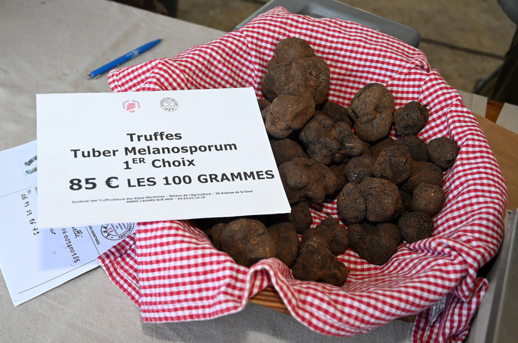 marche truffe chibois grasse