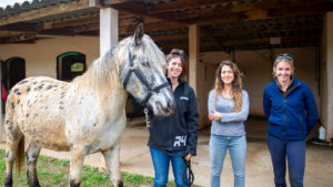 haras de pennafort callas ethologie