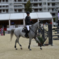 jumping international cannes cheval
