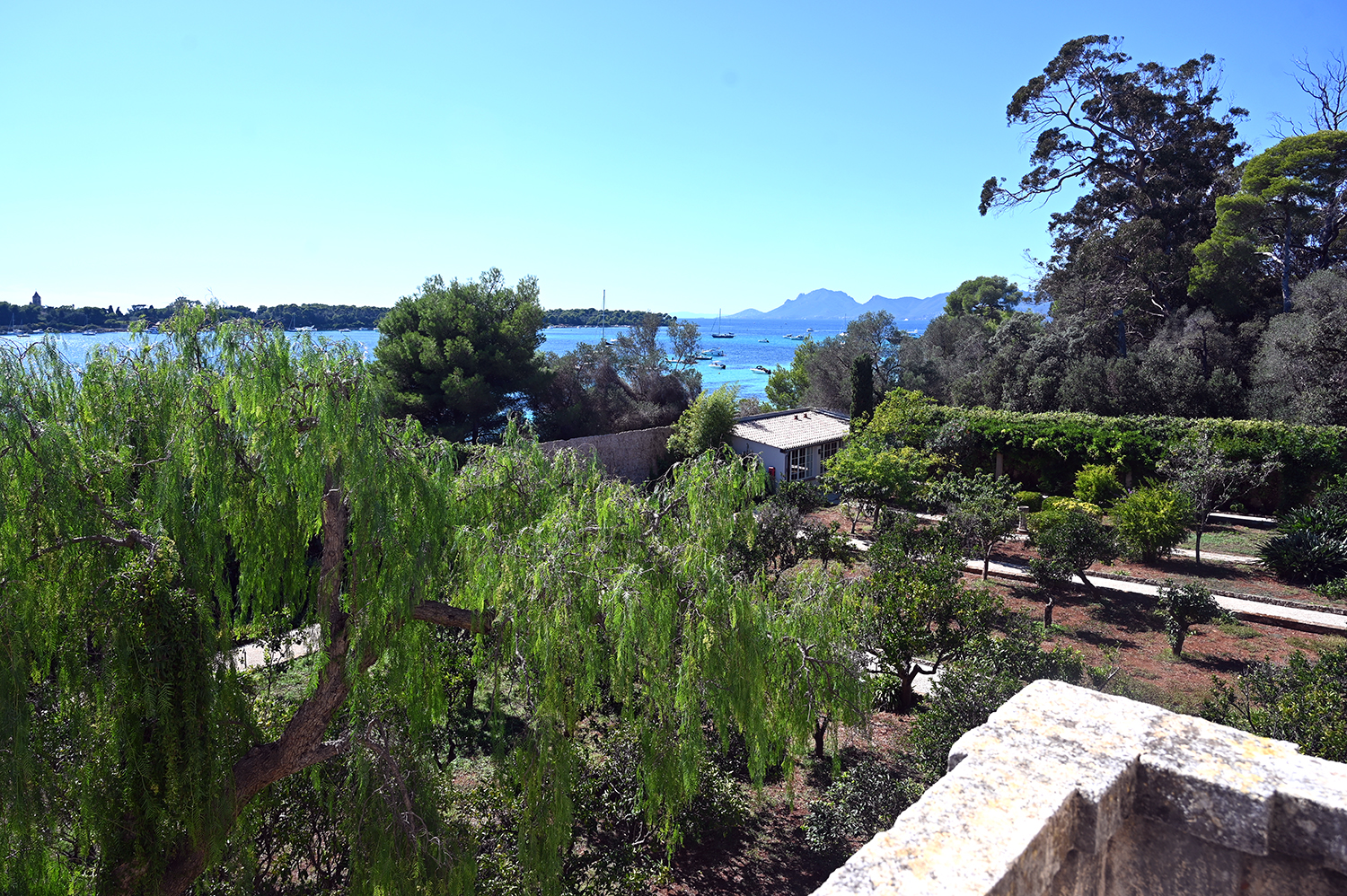 Le Grand Jardin Paradis de Luxe sur l'Île SainteMarguerite YesICannes