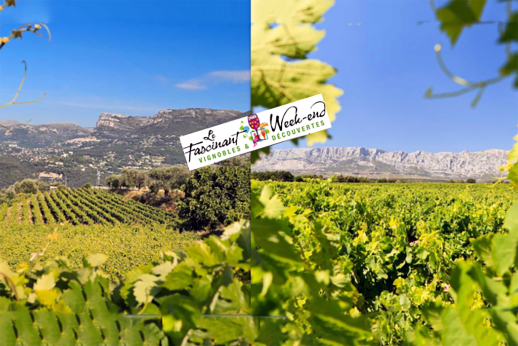 fascinant Week end route vins provence