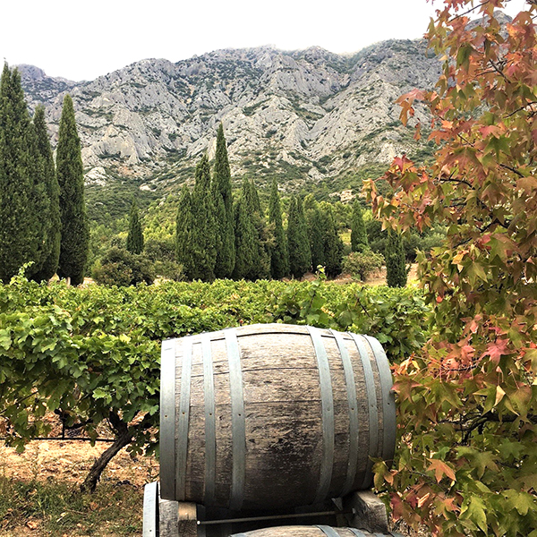 fascinant Week end route vins provence
