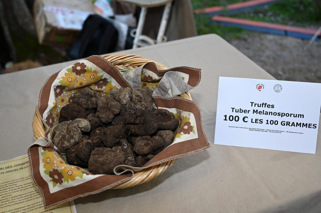 marché truffe chibois