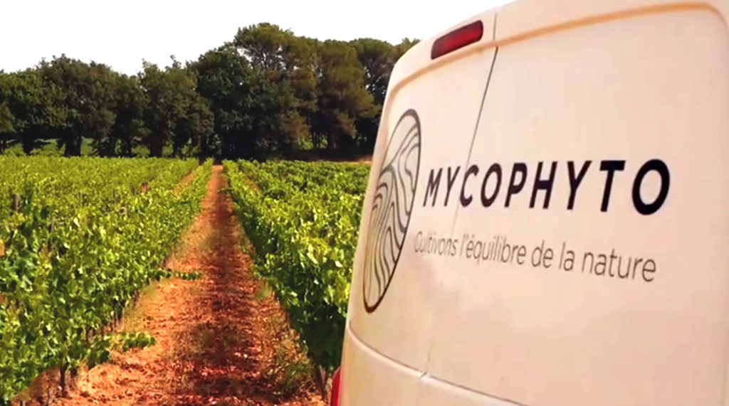 mycophyto invente agriculture