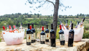 escapades vins bandol domaine garenne