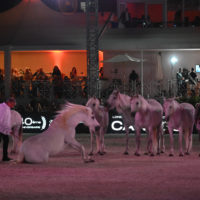 jumping international cannes 40 anniversaire