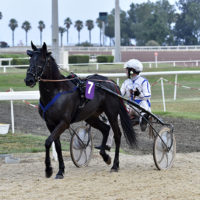 côte azur hippodrome cagnes sur mer