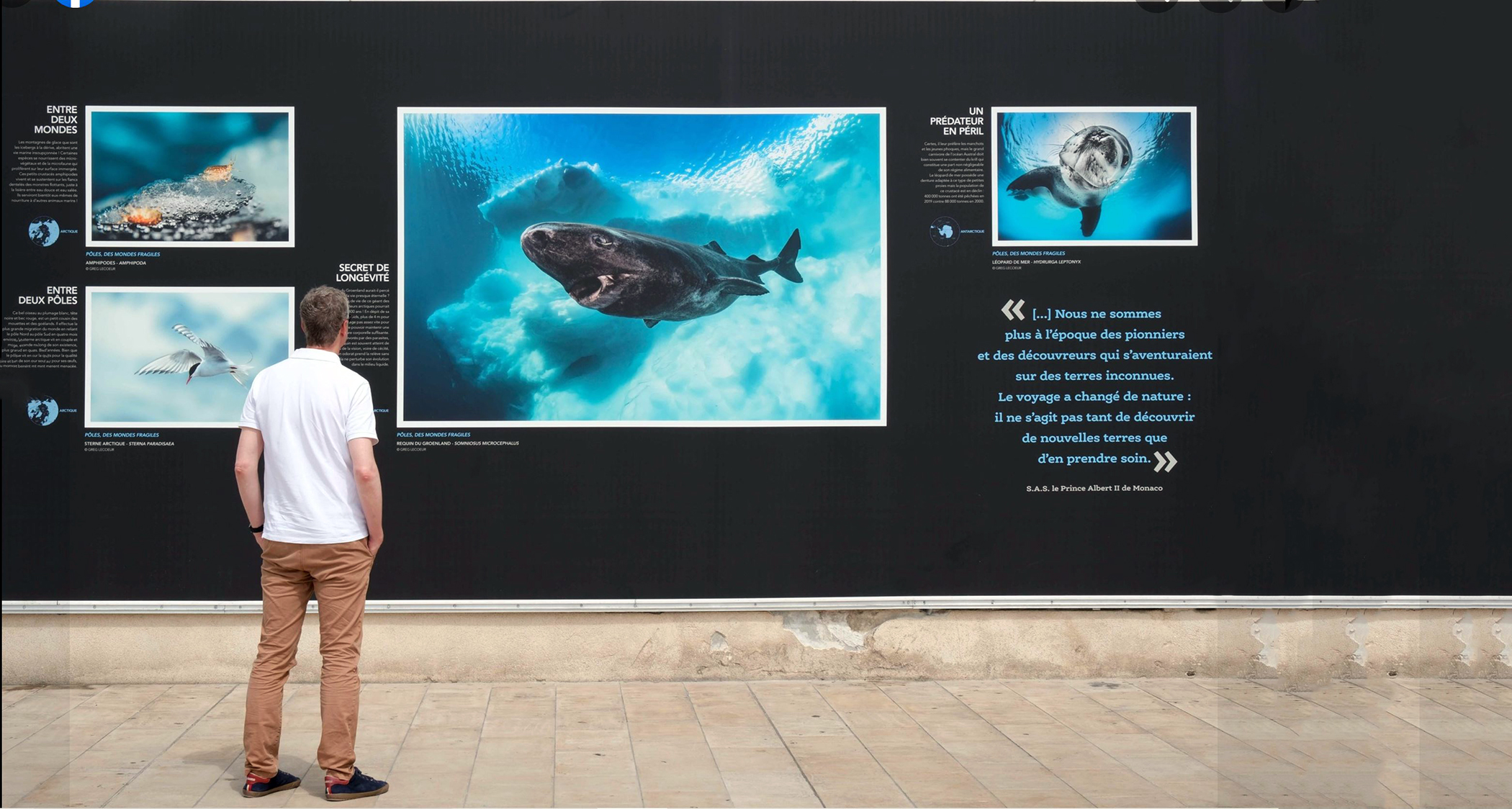 pôles mondes fragiles musée océanographique monaco