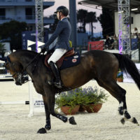 Janne-Frederike Meyer-Zimmermann Triomphe au Jumping de Cannes