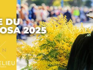 fête mimosa 2025 mandelieu