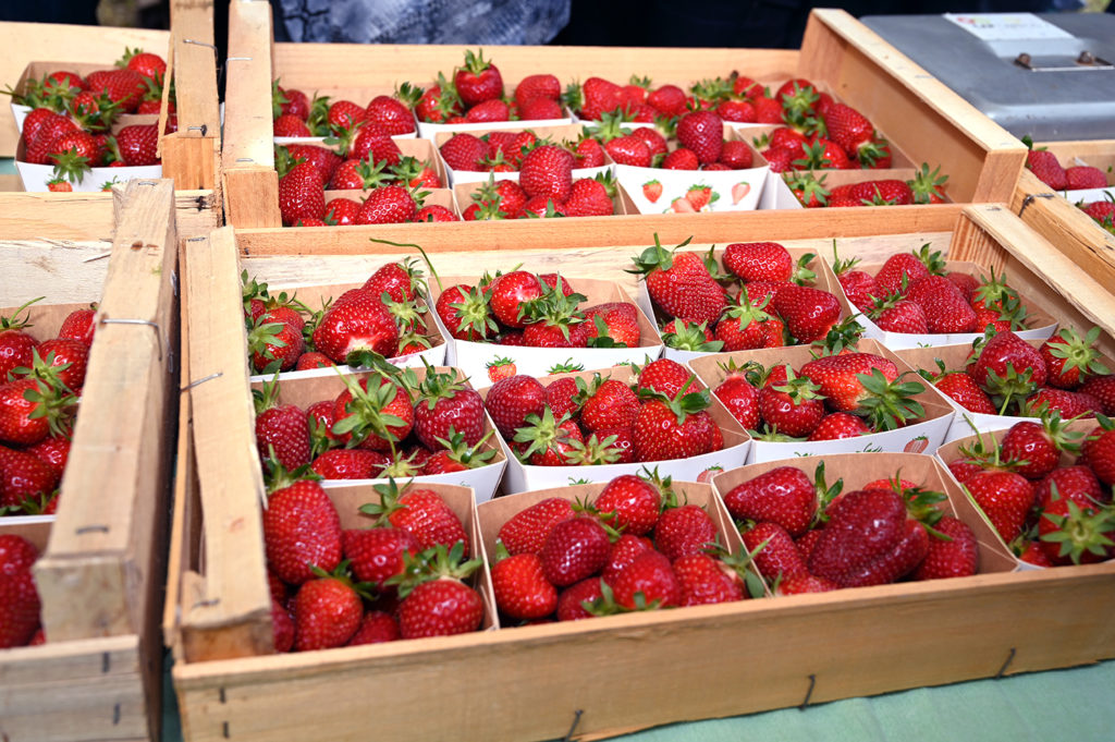 fête fraises terroir carros