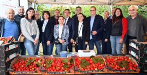 fête fraises terroir carros