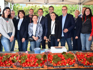 fête fraises terroir carros