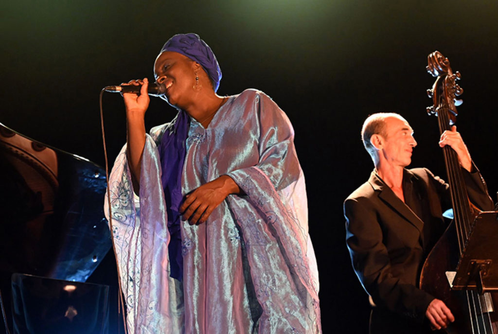 13 musicales vignes provence